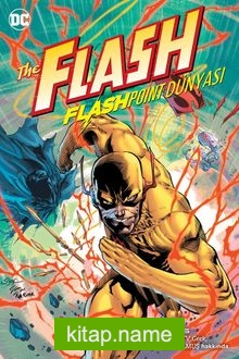 Flash Flashpoint Dünyası