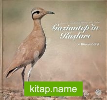 Gaziantep’in Kuşları Gaziantep Semalarında Görülen Kuş Türleri
