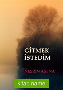 Gitmek İstedim