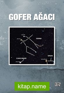 Gofer Ağacı