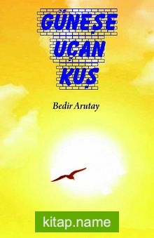 Güneşe Uçan Kuş