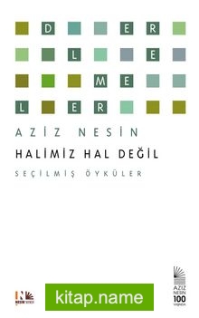 Halimiz Hal Değil Seçilmiş Öyküler