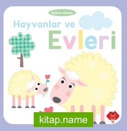 Hayvanlar ve Evleri / Dokun ve Hisset