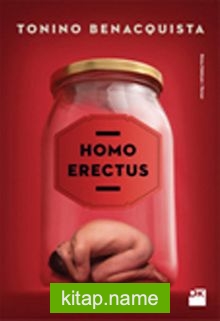 Homo Erectus