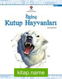 İlginç Kutup Hayvanları