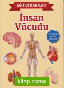 İnsan Vücudu / Eğitici Kartlar