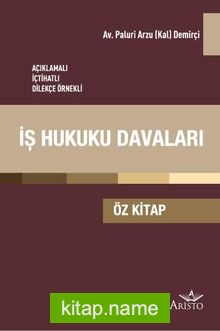 İş Hukuku Davaları (Öz Kitap)