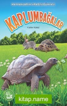 Kaplumbağalar /  Hayvanların Sıradışı Dünyası