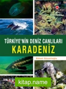 Karadeniz – Türkiye’nin Deniz Canlıları