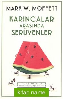 Karıncalar Arasında Serüvenler