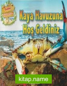 Kaya Havuzuna Hoş Geldiniz