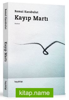 Kayıp Martı