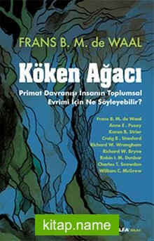 Köken Ağacı Primat Davranışı İnsanın Toplumsal Evrimi İçin Ne Söyleyebilir?