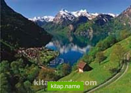 Lake Lucerne Switzerland (36×25 Kod:1500-4533)