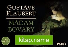 Madam Bovary (Minikitap)