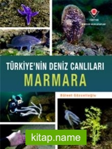 Marmara – Türkiye’nin Deniz Canlıları