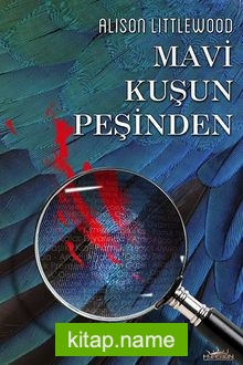 Mavi Kuşun Peşinden