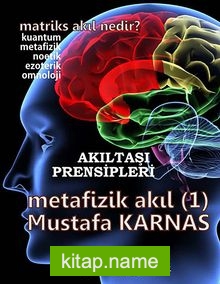 Metafizik Akıl -1