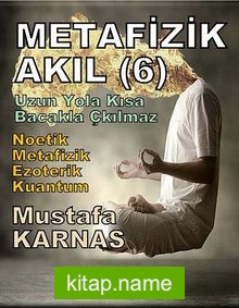 Metafizik Akıl -6