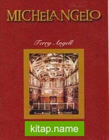 Michelangelo / Stage 6