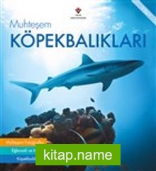 Muhteşem Köpekbalıkları