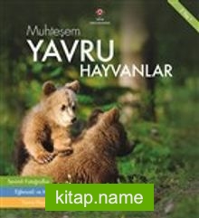 Muhteşem Yavru Hayvanlar