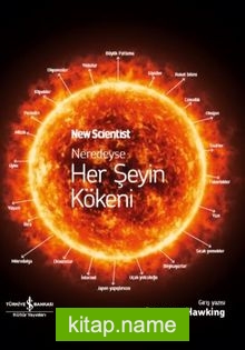 Neredeyse Her Şeyin Kökeni