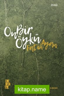 On Bir Öykü