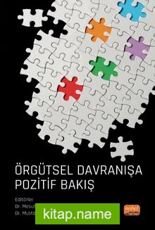 Örgütsel Davranışa Pozitif Bakış