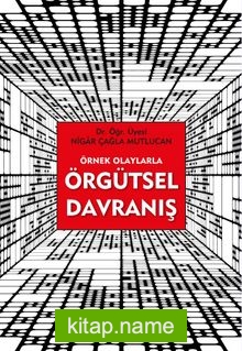 Örnek Olaylarla Örgütsel Davranış