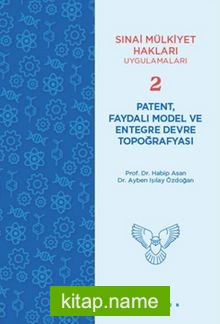 Patent, Faydalı Model ve Entegre Devre Topoğrafyası