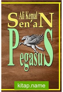 Pegasus Akdeniz Serisi IV