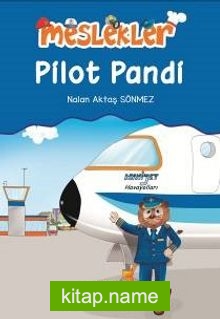 Pilot Pandi / Meslekler