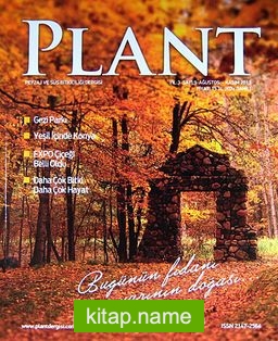 Plant Peyzaj ve Süs Bitkiciliği Dergisi Sayı:9 Ağustos – Kasım 2013