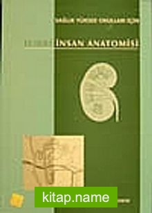 Resimli İnsan Anatomisi