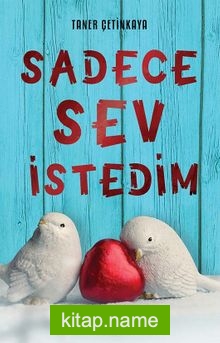 Sadece Sev İstedim