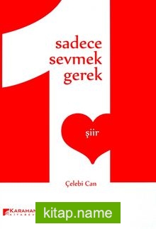 Sadece Sevmek Gerek