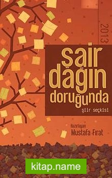 Şair Dağın Doruğunda 2013