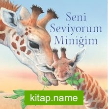 Seni Seviyorum Miniğim