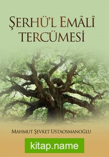 Şerhü’l Emali Tercümesi