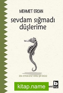 Sevdam Sığmadı Düşlerime