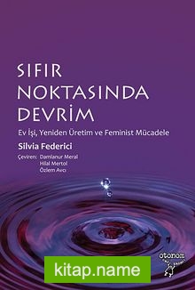 Sıfır Noktasında Devrim  Ev İşi, Yeniden Üretim ve Feminist Mücadele