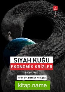 Siyah Kuğu  Ekonomik Krizler