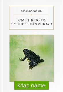 Some Thoughts on the Common Toad