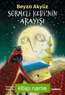 Sürmeli Kedi’nin Arayışı