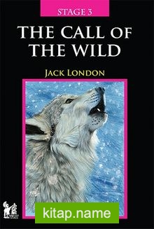 The Call Of The Wild / Stage 3