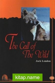 The Call of The Wild / Stage 3 (Cd’li)
