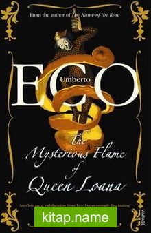 The Mysterious Flame of Queen Loana: An Illustrated Novel
