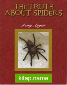 The Truth About Spiders / Stage 4