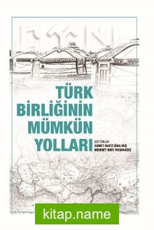 Türk Birliğinin Mümkün Yolları